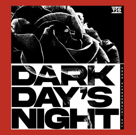 Dark Day's Night Limited Edition CD