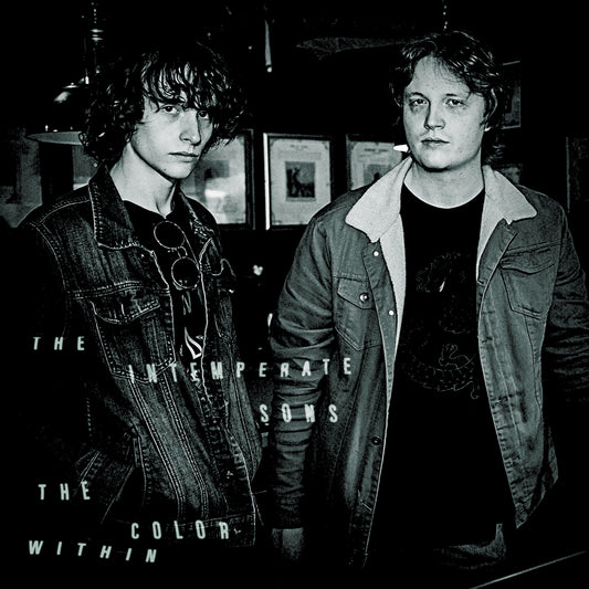 The Color Within 12" Vinyl LP