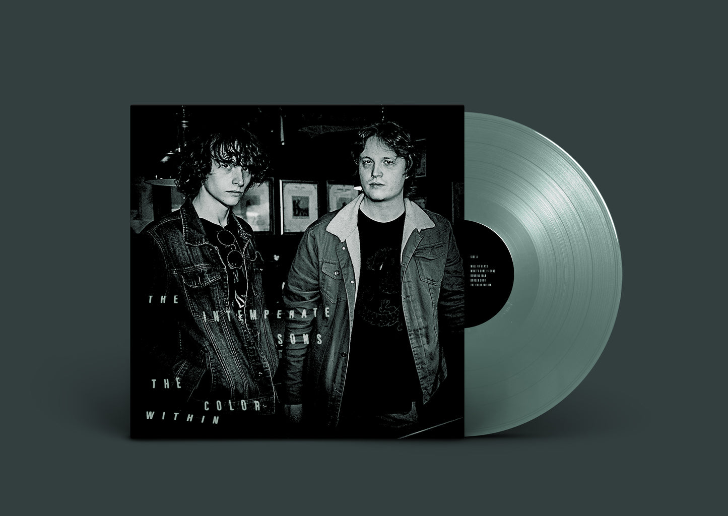The Color Within 12" Vinyl LP
